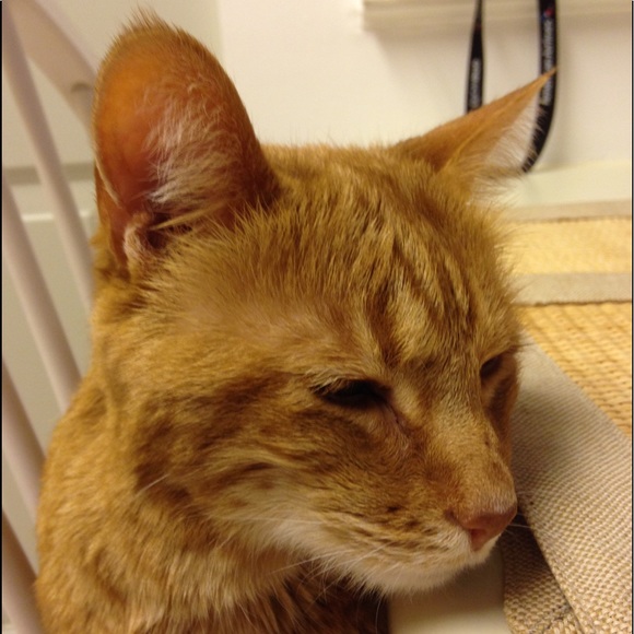 Meet your Posher, Jen - Picture 1 of 1